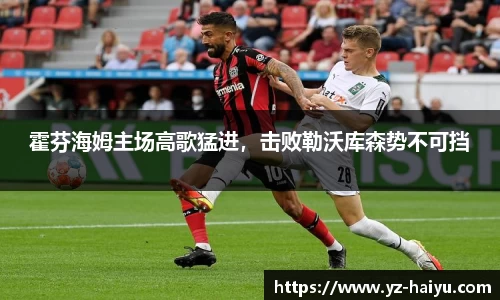 霍芬海姆主场高歌猛进，击败勒沃库森势不可挡