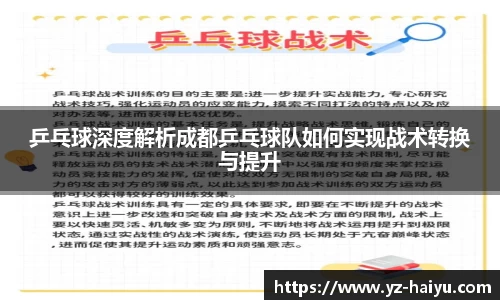 乒乓球深度解析成都乒乓球队如何实现战术转换与提升