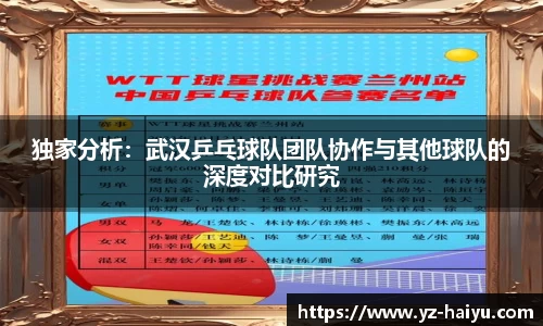 独家分析：武汉乒乓球队团队协作与其他球队的深度对比研究