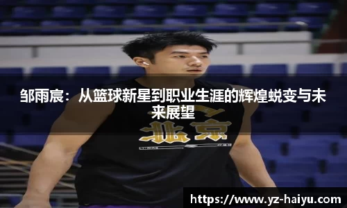 mk体育