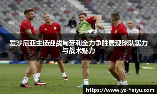 mk体育官网